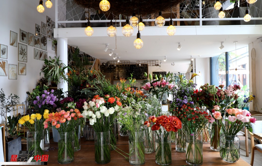 從決定從事鮮花這個(gè)行業(yè)以來，王黎媛花了很多的時(shí)間和精力去學(xué)習(xí)花藝，不斷提高自己的專業(yè)水平。而在小店的選址、裝修和布置方面，王黎媛同樣花費(fèi)了不少心思，“希望我的小店和鮮花一樣，是有溫度的、鮮活的。”另外，小小的花店也藏著大大的夢(mèng)想，“我們?cè)颇硝r花很多，但真正做成品牌的卻很少，這是非常可惜的。我希望把我的店做成品牌，不光能扎根昆明，還能落地到云南的其他城市，甚至省外的城市?！眻D為王黎媛的花店一角。新華網(wǎng) 周亞平/攝 念新洪/文